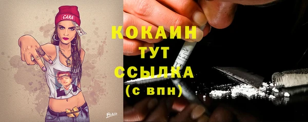 ALPHA-PVP Краснослободск